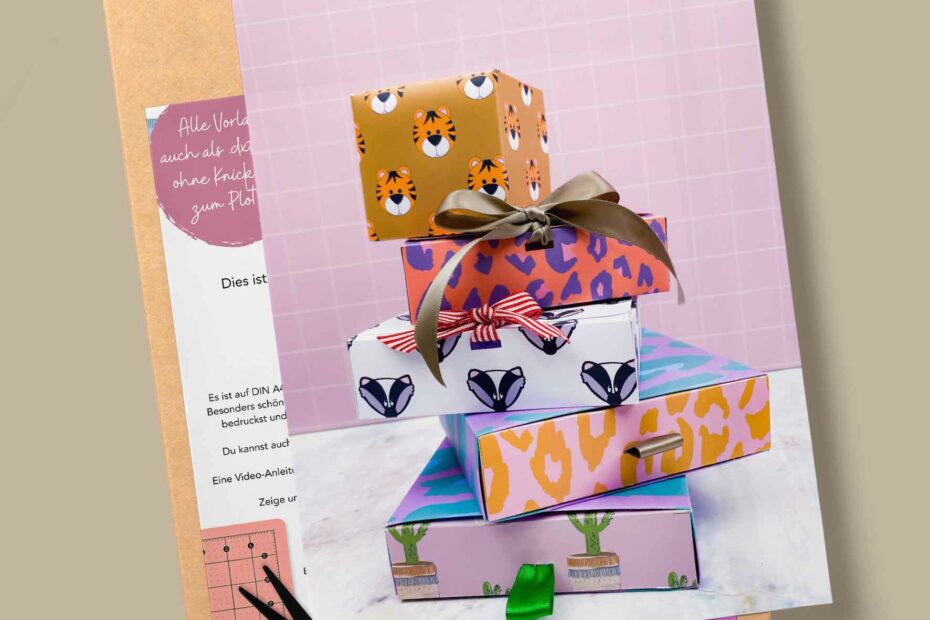 PAH DigitalPaper Boxen 7