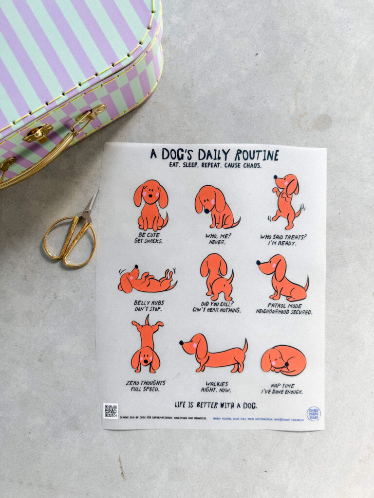 Illustriert Bügelbild von Anke mit dem Titel A Dog's Daily Routine, der humorvolle Alltagssituationen eines Dackels in orangefarbenen Zeichnungen zeigt.