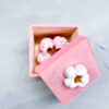 Candy Popcorn dose6